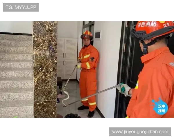 ag亚娱官方入口安全保障措施，确保玩家个人信息与资金安全无忧